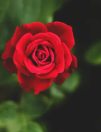 Cathy Long cover photo